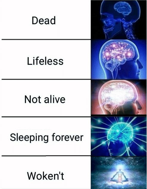 dead-lifeless-not-alive-sleeping-forever-wokent-expanding-brain-meme-48116607.