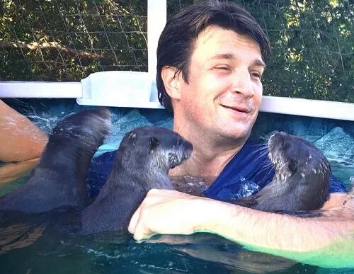 FillionAndSomeSeaWeaselsForYou.