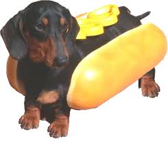 hot doggo.