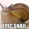 EPIC SNAIL.