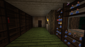 Book/potion storage room