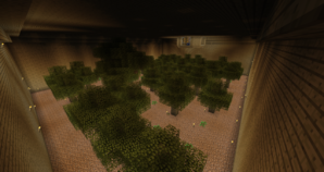 Tree Farm