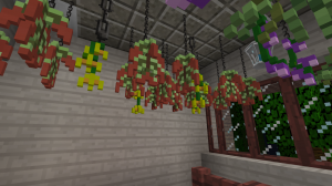 Hanging herbs 2