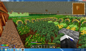 4 floors filled with crops