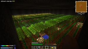 Gardens lvl 1