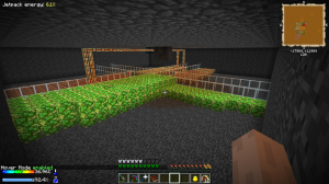 Automatic berry ore bush farm