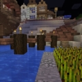 The town in the background