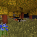 Our little botania area were we generate mana and stuff