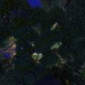 Where this is located pretty much, Shows the new biome pretty well with the patters in the trees